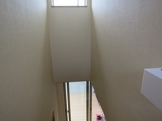 IMG_3421.jpg